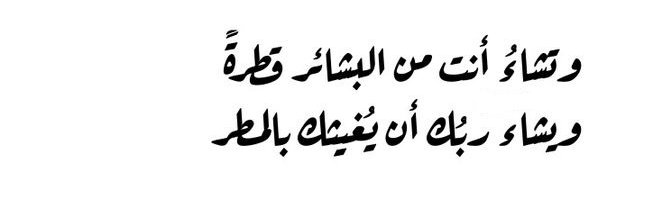 Mohamed Badheeb banner