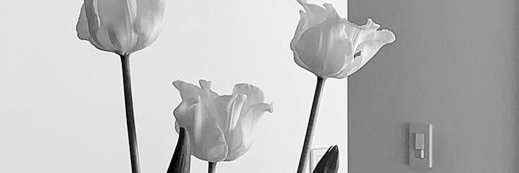 ୨୧ banner