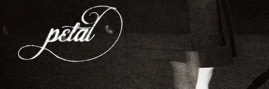 theodoreformoso's profile banner image