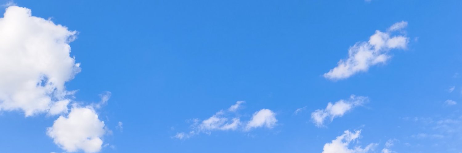 どやなお banner