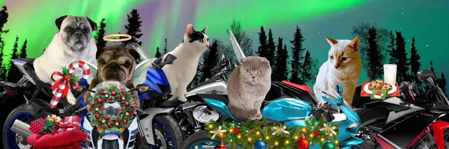 Happy kitty & puggy gang #zshq#cloudriderz banner