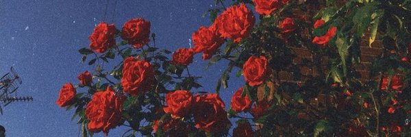 Tegadeyforyou Profile Banner