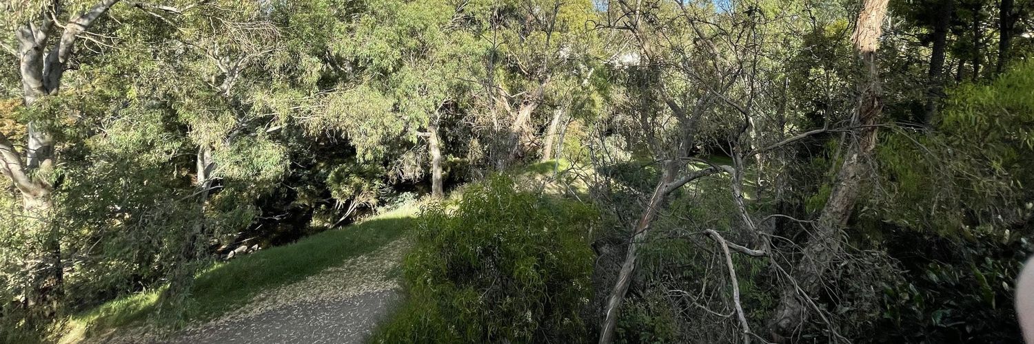 Christian Findlay banner