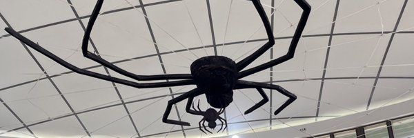 NallsDid Profile Banner