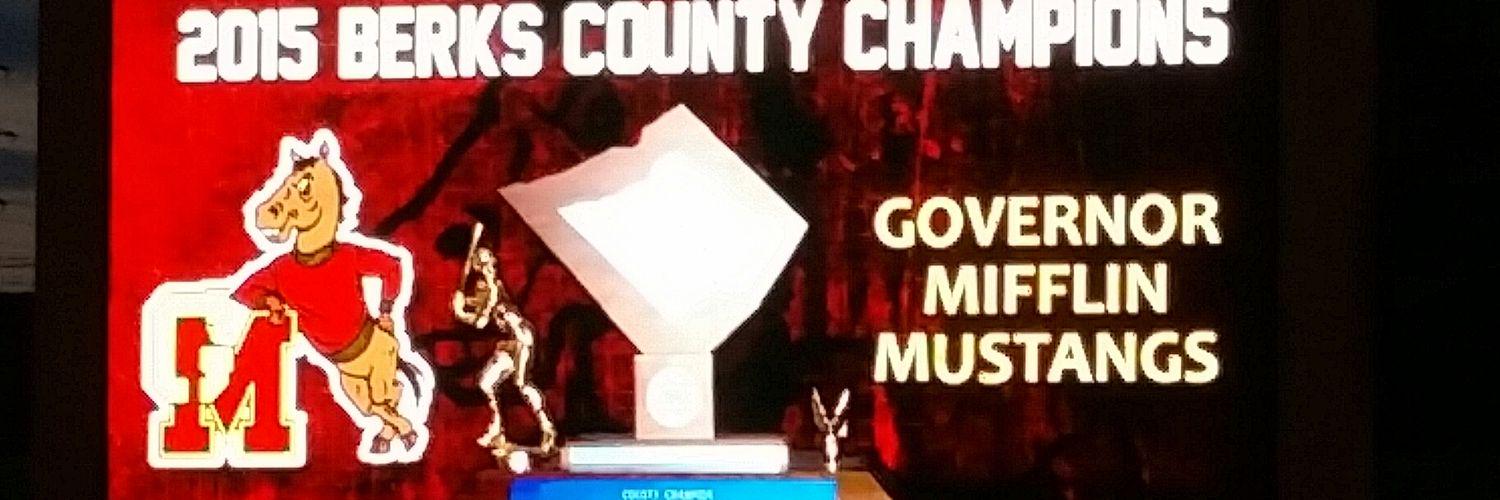 Evolution Baseball banner