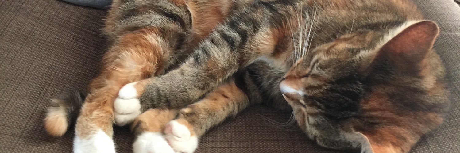 Krystle Neale banner