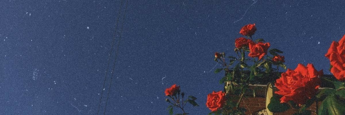 새벽 banner