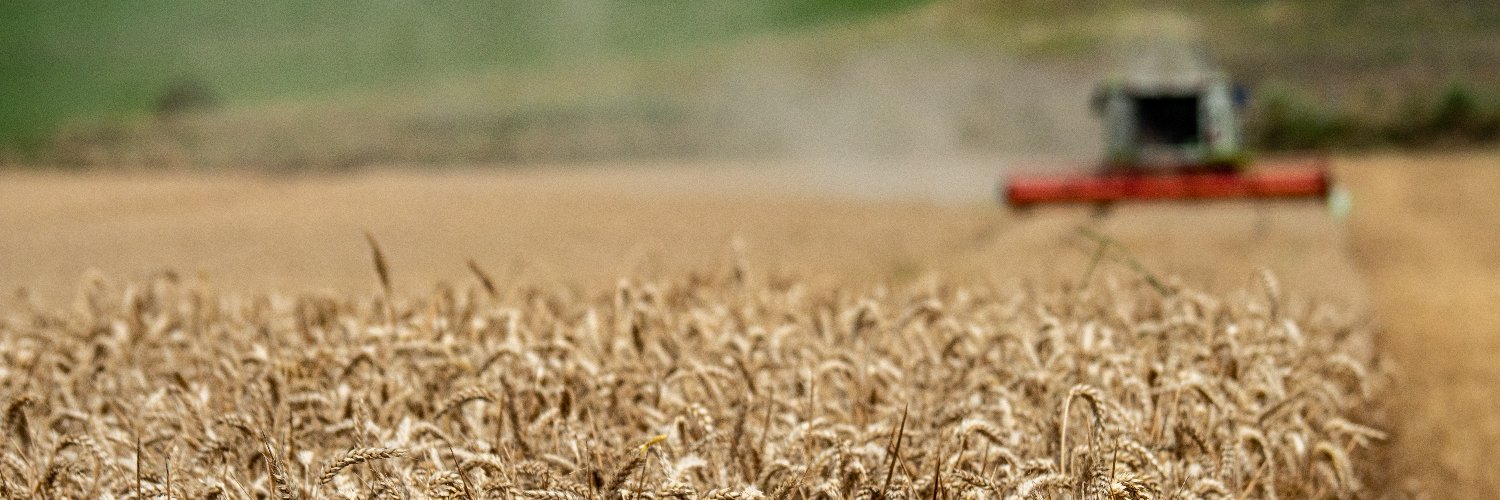 PhlippsenX's profile banner image