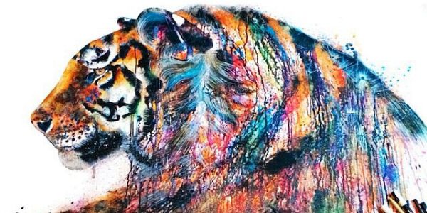 RossiVir's profile banner image