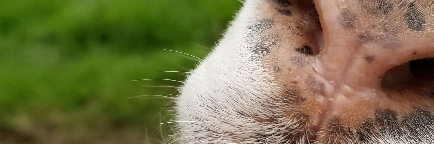 C0lly_D's profile banner image