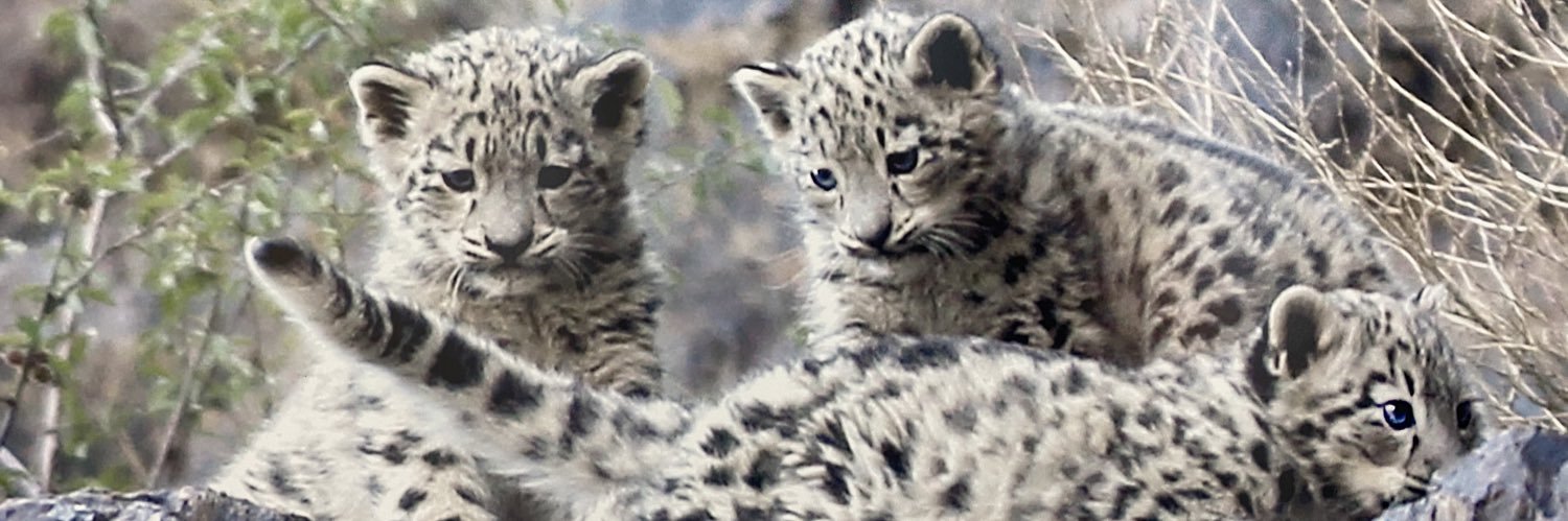 munkhbat6381's profile banner image