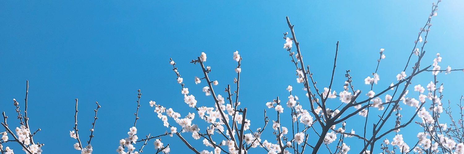 みみ banner