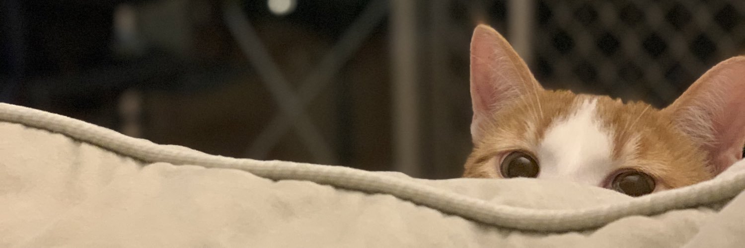 Changky0923's profile banner image