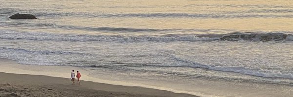 RobynReclusado Profile Banner