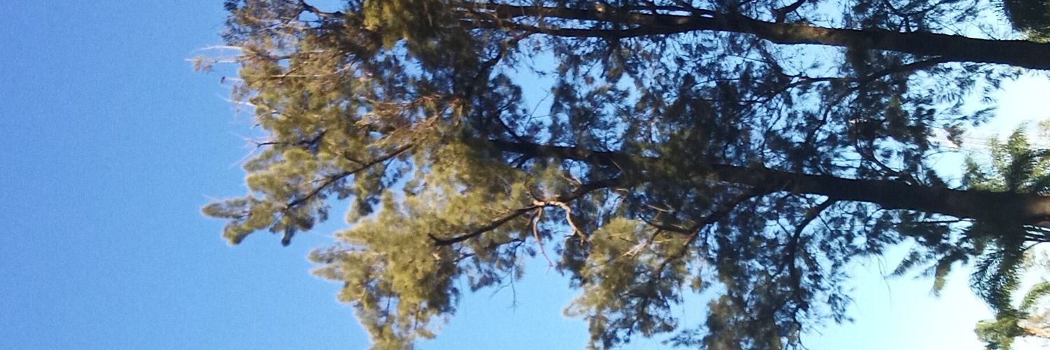 Micagarzon_'s profile banner image