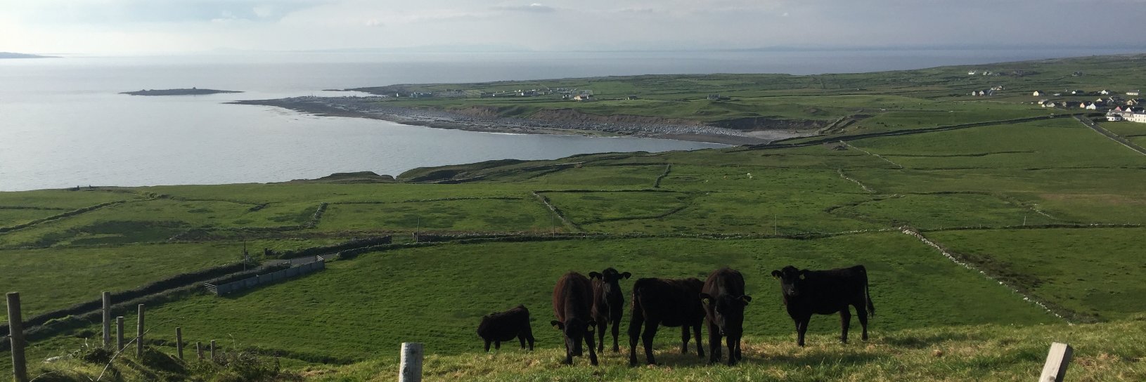 John F. Kelley banner