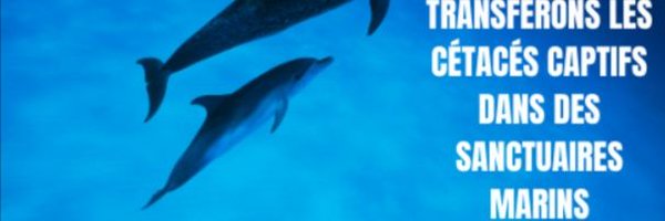 IsaLevyPrat Profile Banner