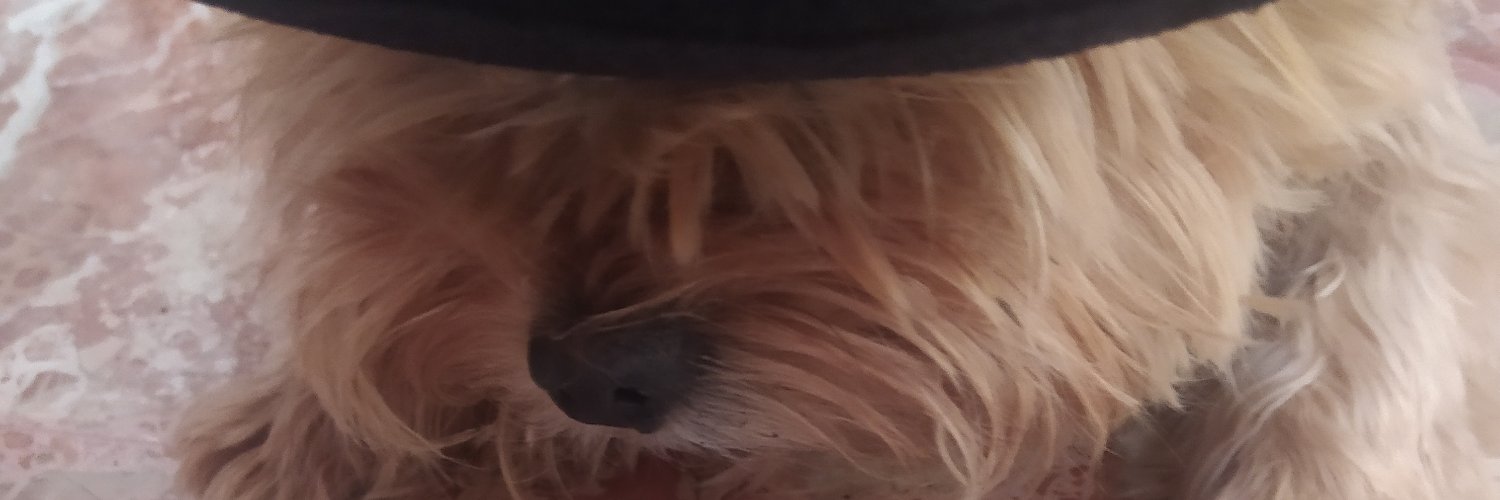 _Nesda_'s profile banner image