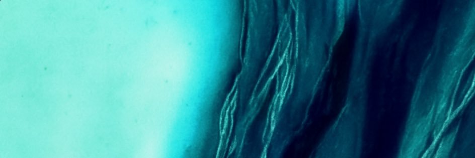 alltamimii's profile banner image