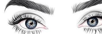 KaiLin_nn's profile banner image