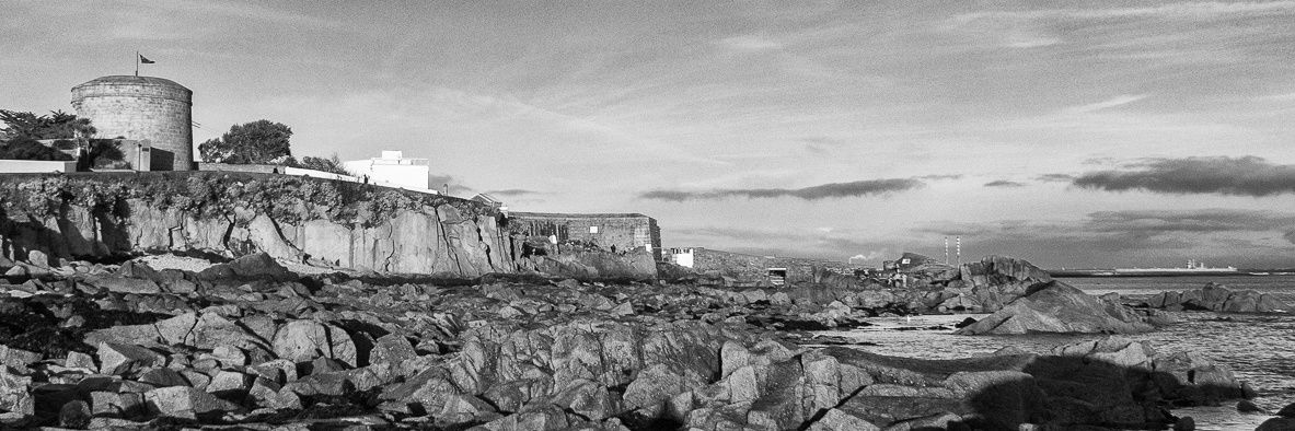 James Joyce Tower banner