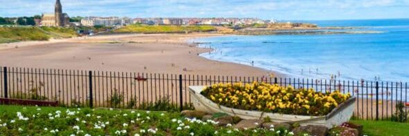 Cllr Lewis Bartoli - Tynemouth ward Councillor banner