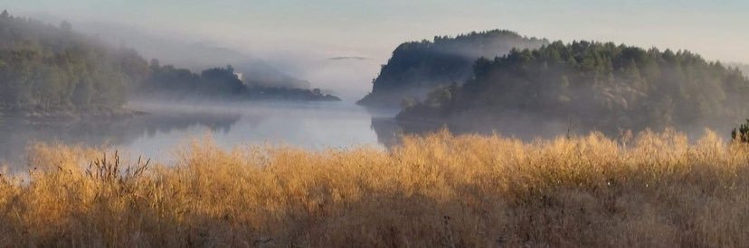 Lars Rottem Krangnes banner