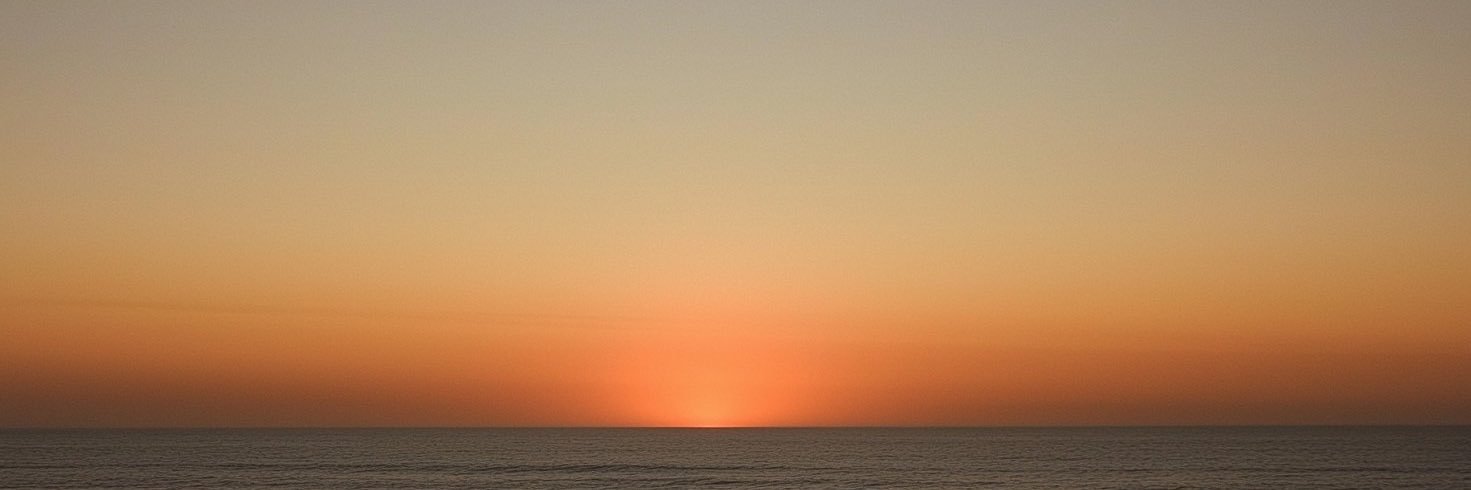 Wanderer 🚶🏻 banner