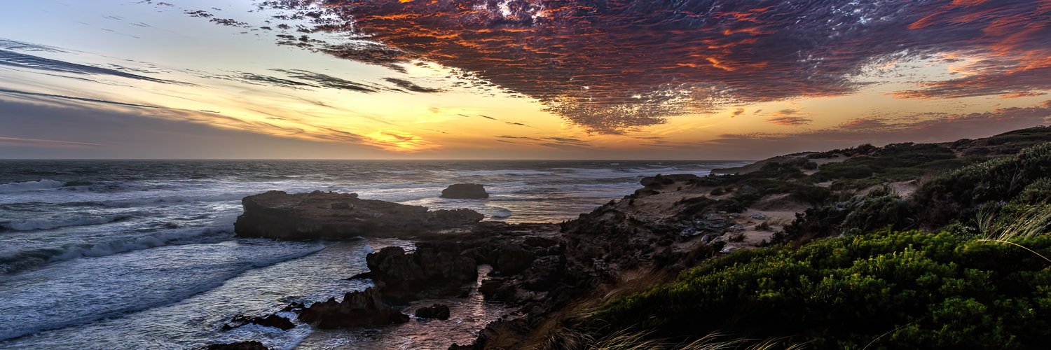 Michael Monteleone banner