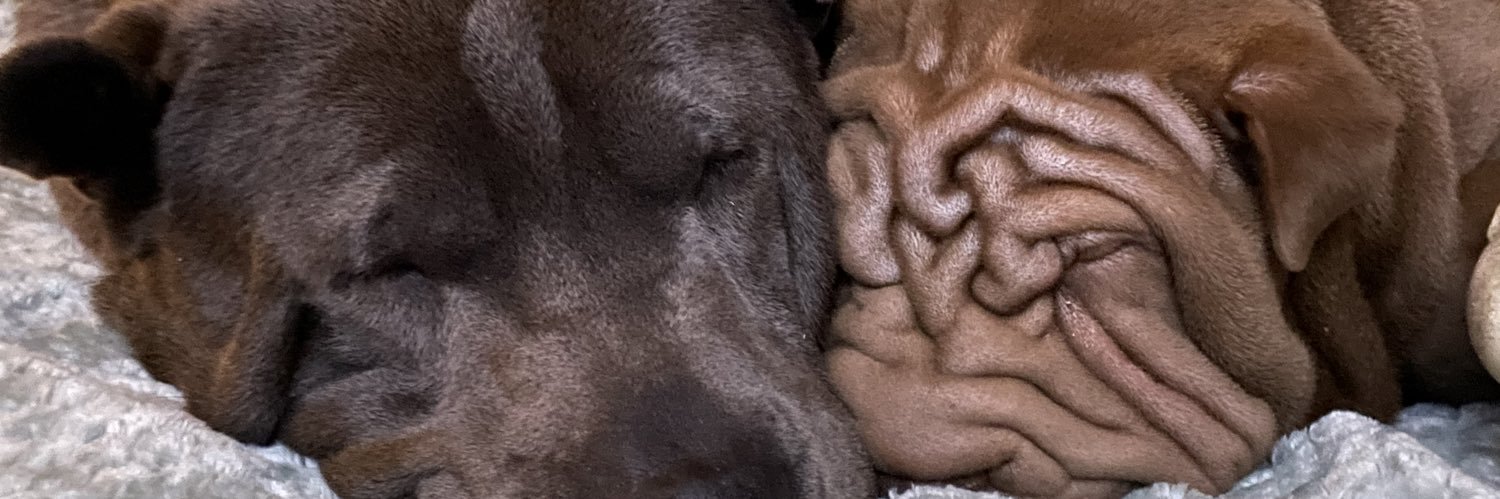 justjohnjack's profile banner image