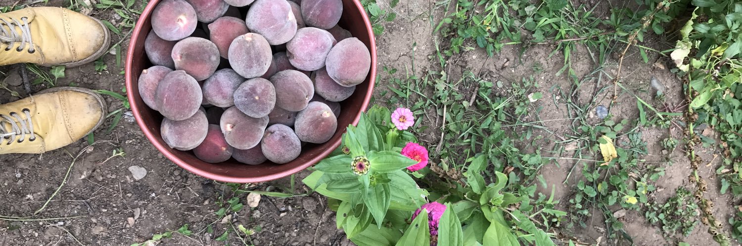 La Duraznera 🌳✨ banner