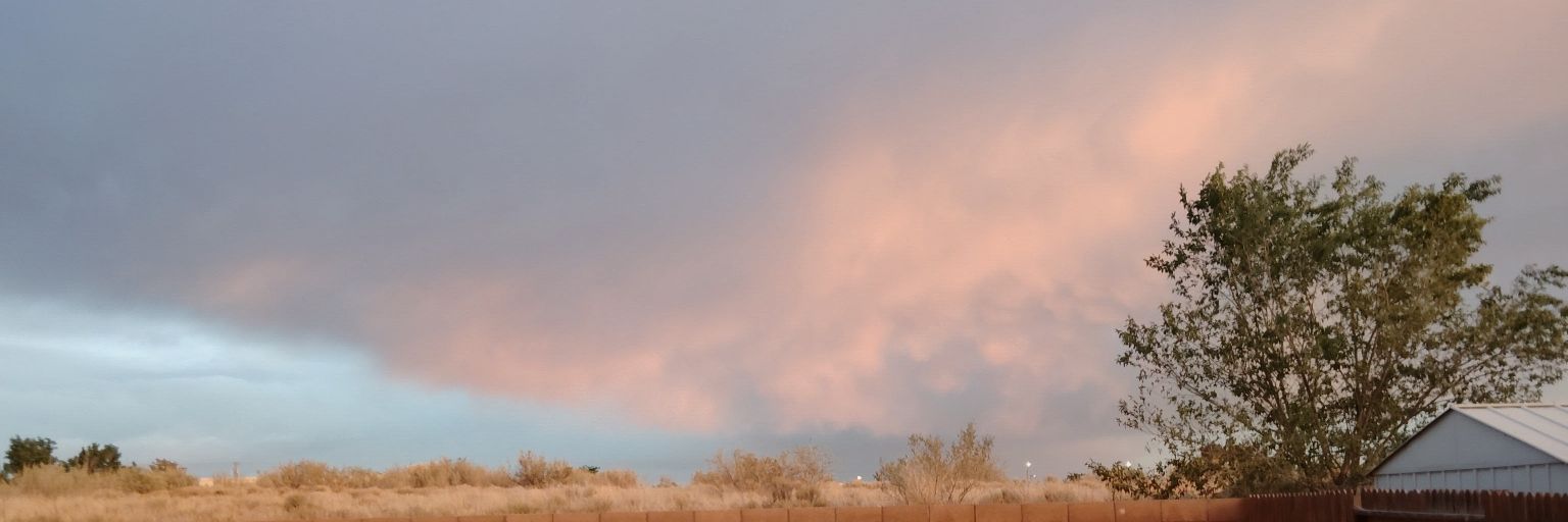 fearlessabbey19's profile banner image