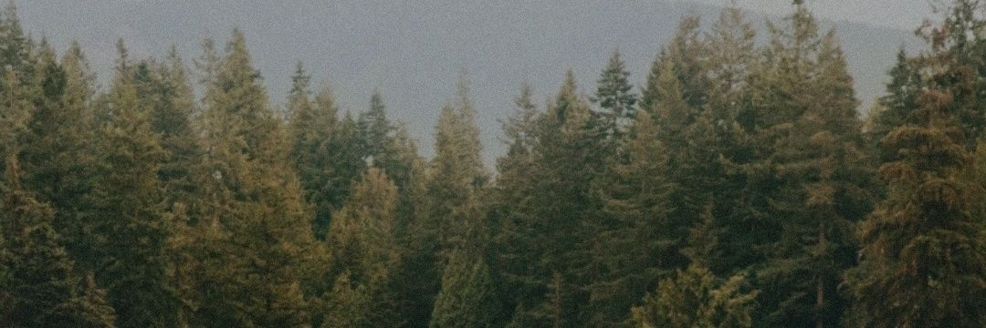 hottguyX's profile banner image