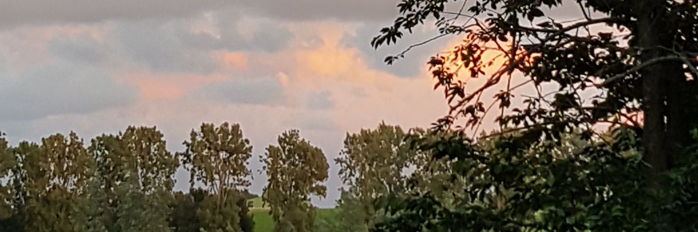 Robert Barzman Élisabeth banner