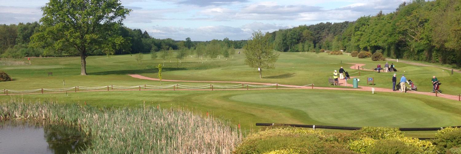 SandburnGolf's profile banner image