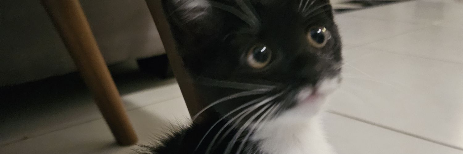 lawzmn's profile banner image