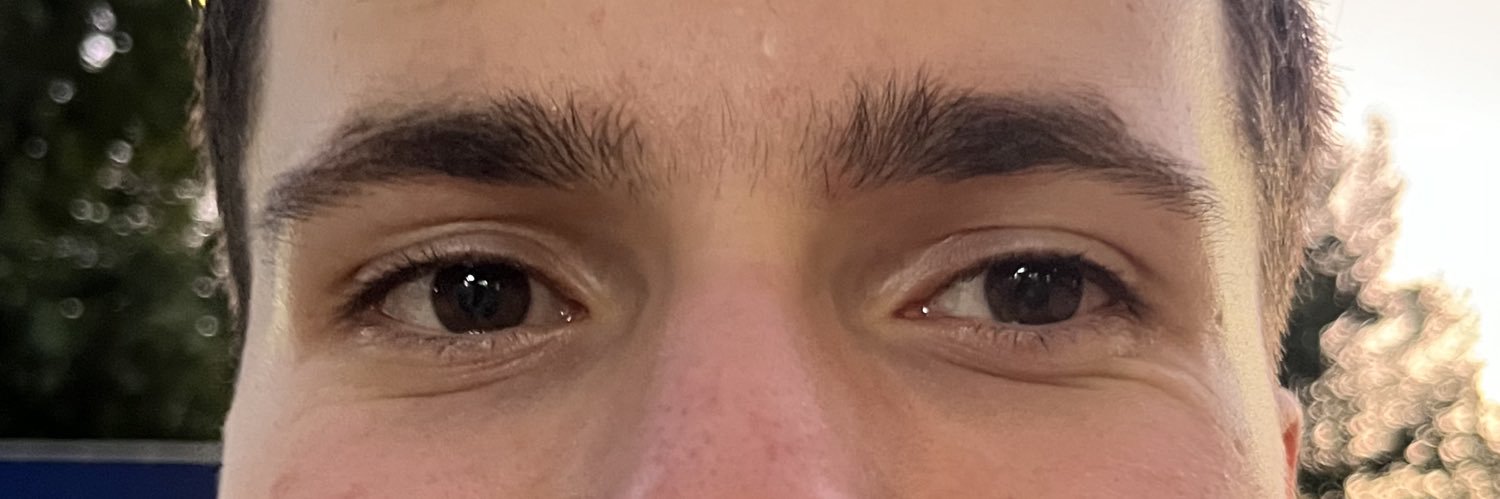palhasecs's profile banner image