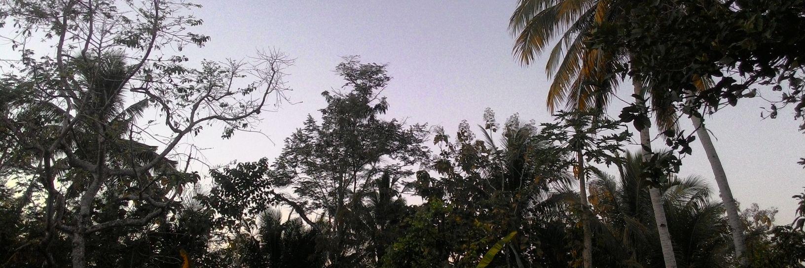 deviiriawan's profile banner image