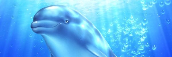 tomuth5's profile banner image