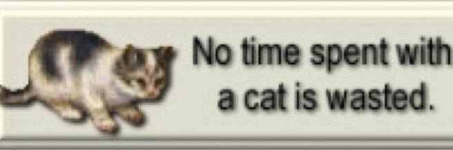 organicats's profile banner image