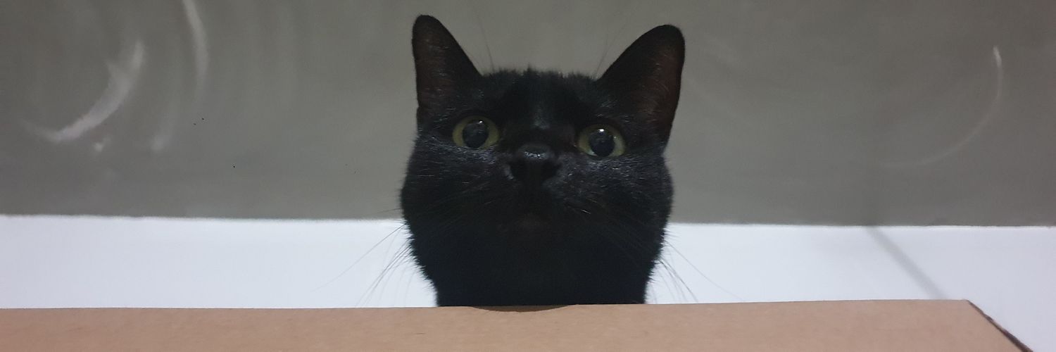 evilazia's profile banner image
