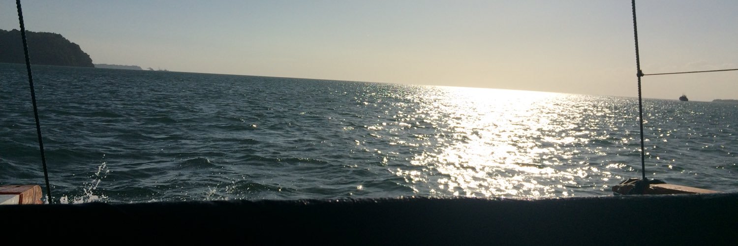 unbotheredfin's profile banner image