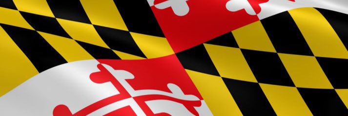 Sally Nazelrod banner