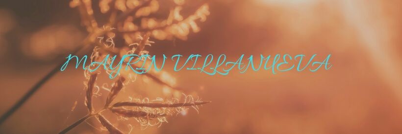 YQuerendon's profile banner image