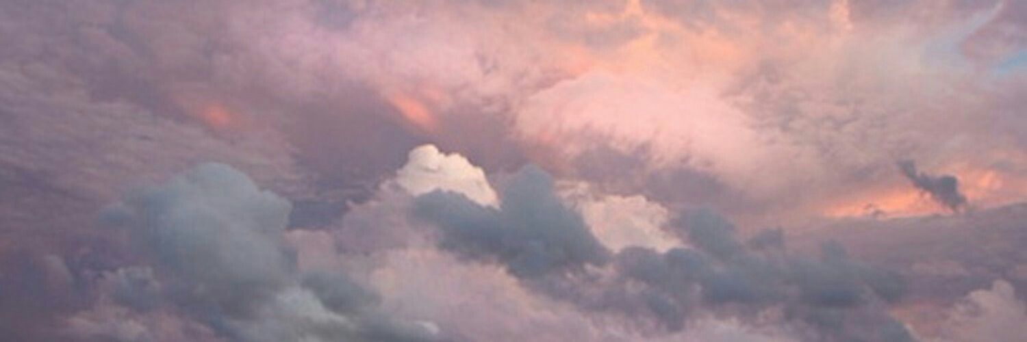 Noble paisano banner