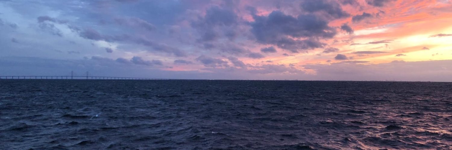 AnnaTjarvar's profile banner image