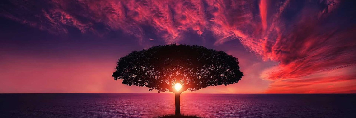 Shirley Lascaris banner