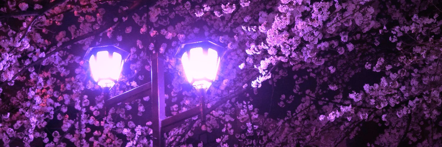 darkpooh's profile banner image