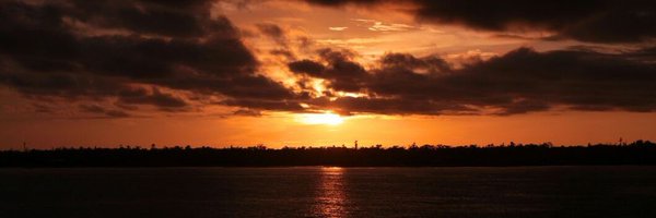 mnrijaldi Profile Banner