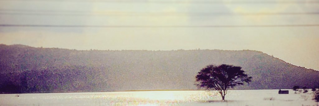 DoctorDrakula's profile banner image